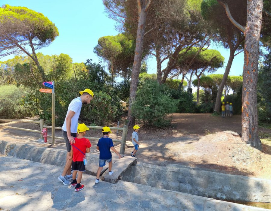 MMAS — Hero (bâtiment Summer)